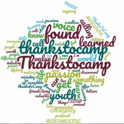 Words used by the presenters of the international session